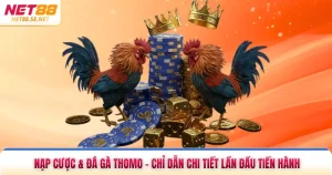Nạp & Cược Đá Gà Thomo - Chỉ Dẫn Chi Tiết Lần Đầu Tiến Hành