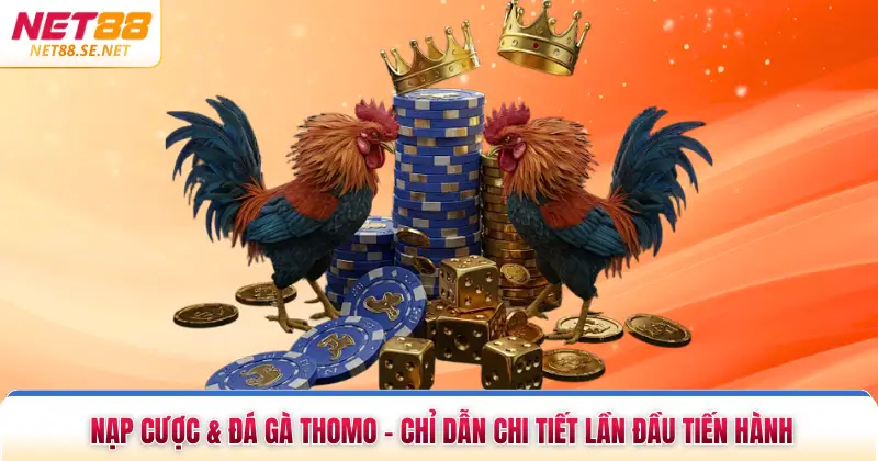 Nạp & Cược Đá Gà Thomo - Chỉ Dẫn Chi Tiết Lần Đầu Tiến Hành