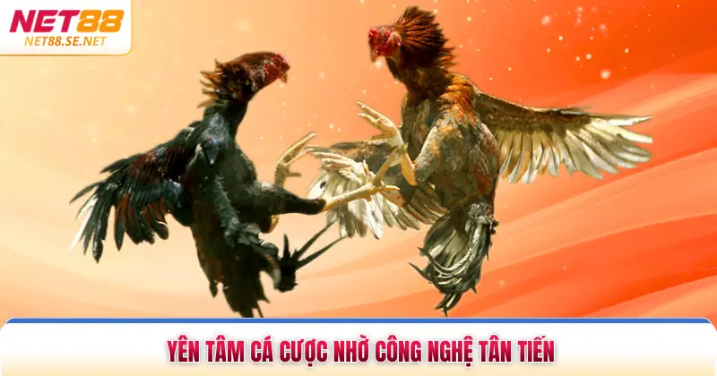 Yên tâm cá cược nhờ công nghệ tân tiến